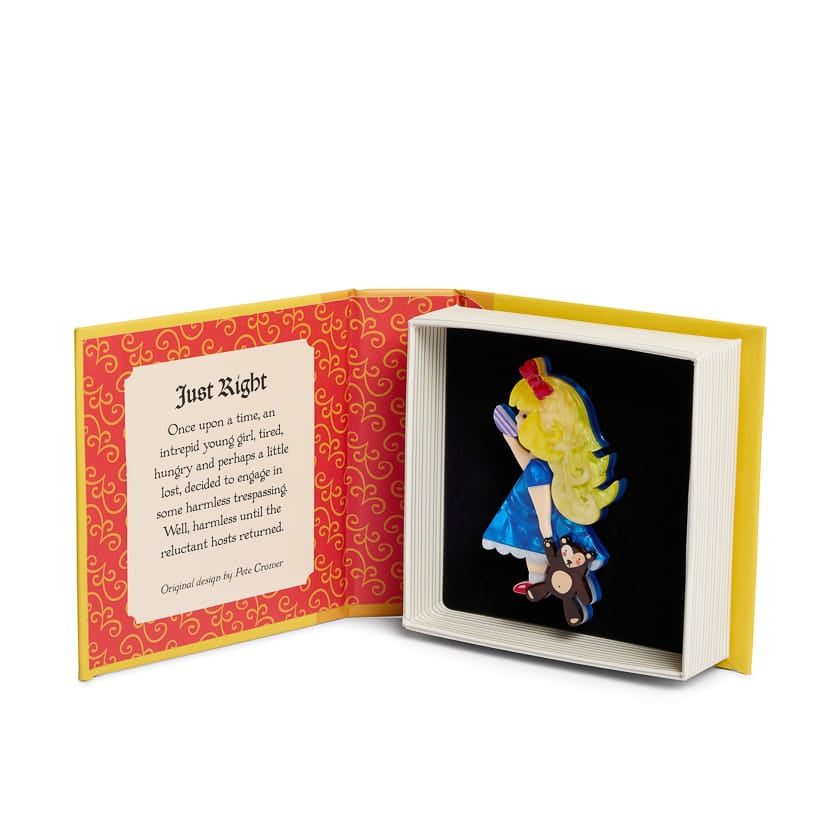 Just Right Brooch BookGeek