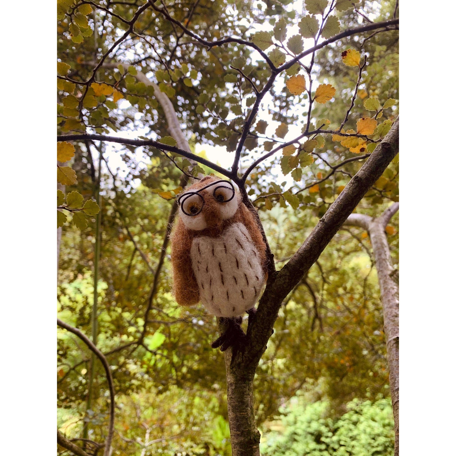 Handmade Felt Wilson the Wise Owl Hanging Bird Decoration BookGeek