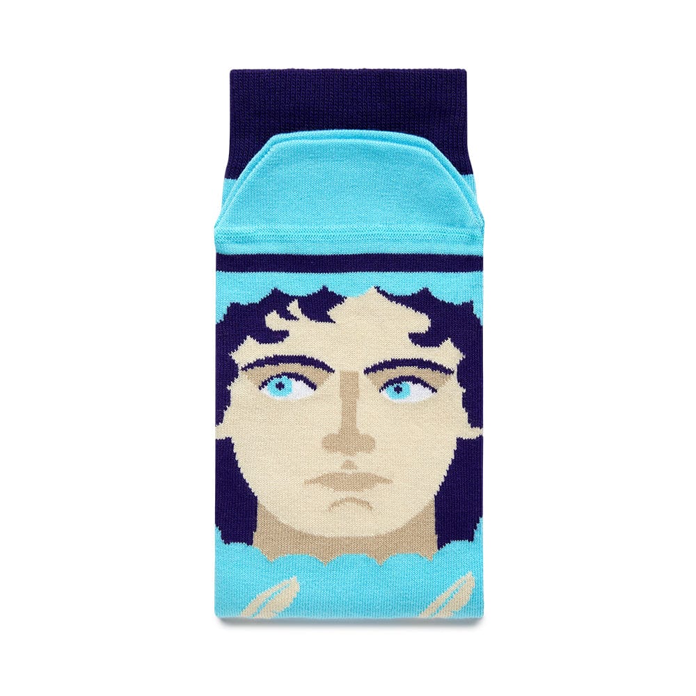 Jane Austoe Socks BookGeek