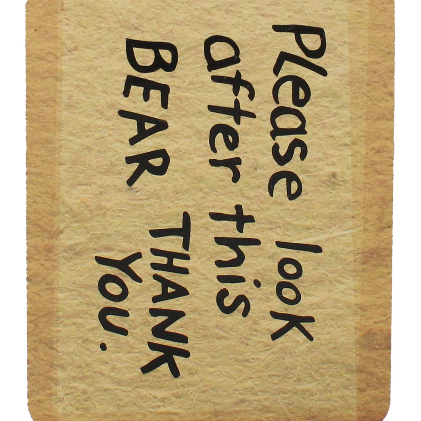 Pocket Notebook Shaped - Paddington (Tag) BookGeek