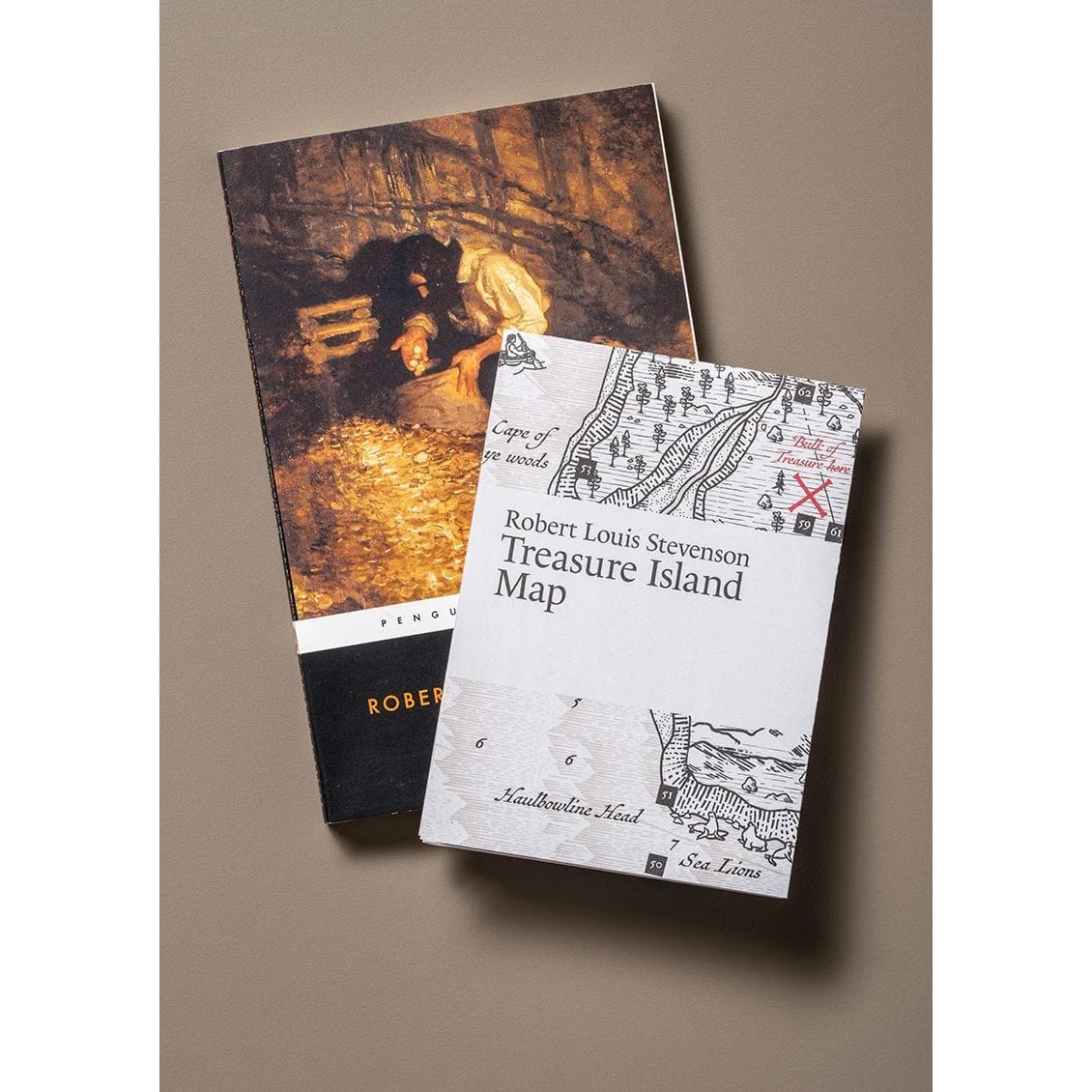 Robert Louis Stevenson: Treasure Island Map BookGeek