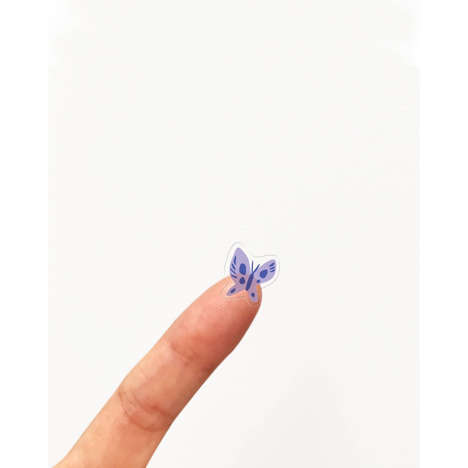 The Secret Garden Storybook Stickers BookGeek