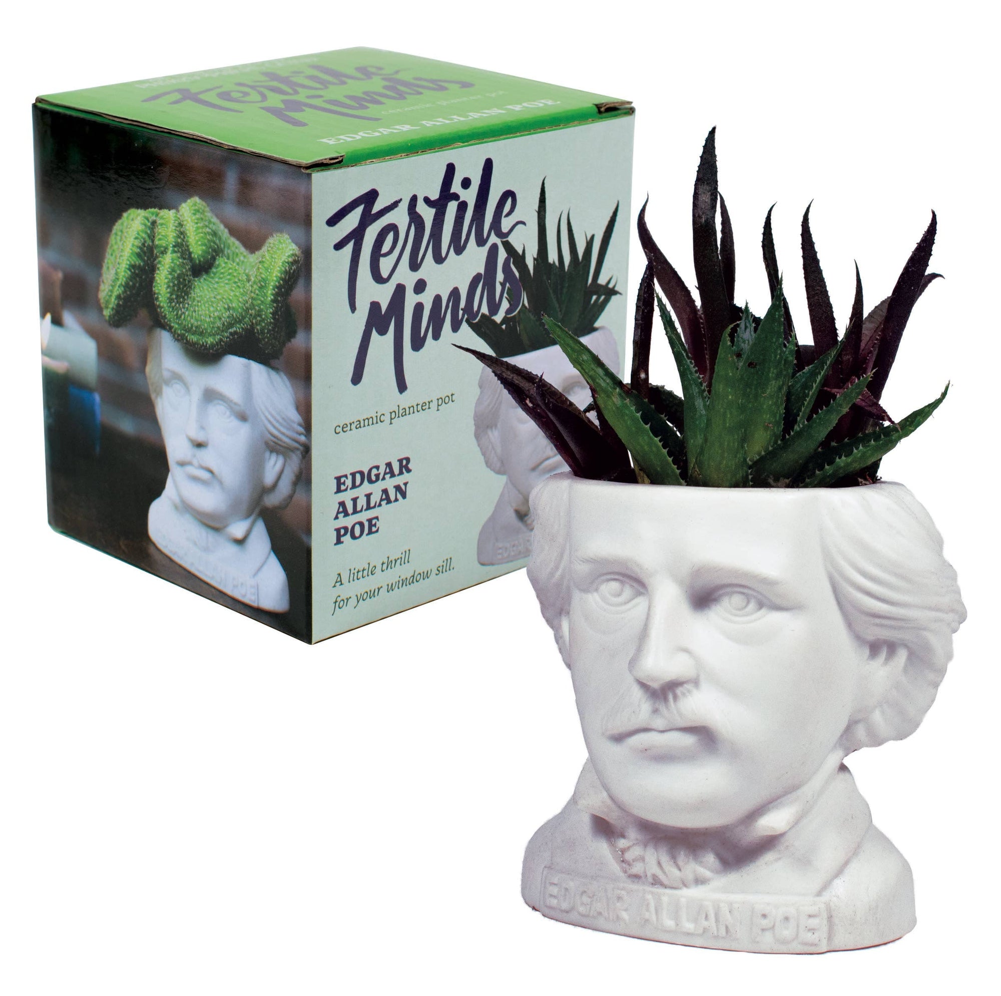 Edgar Allan Poe Planter BookGeek