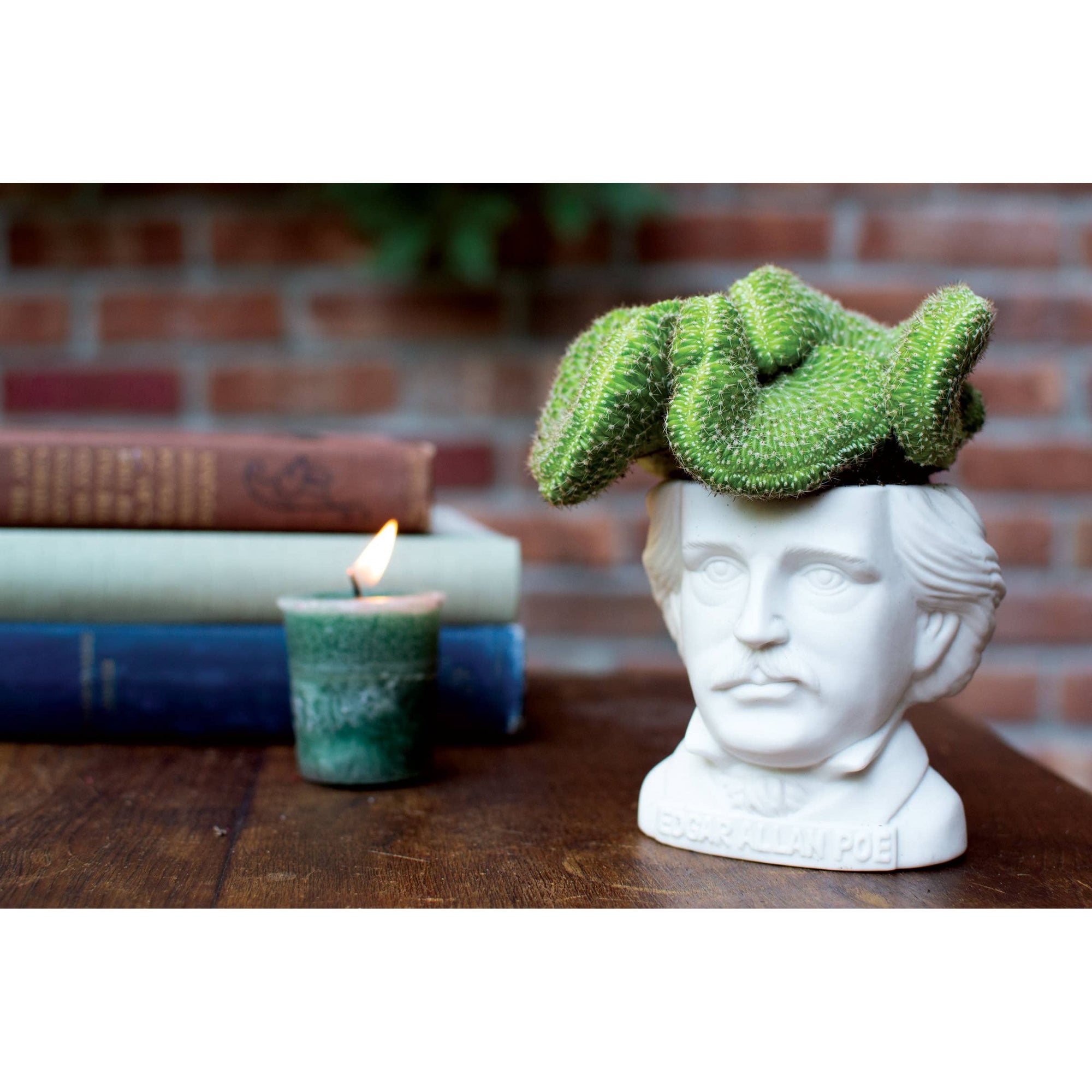 Edgar Allan Poe Planter BookGeek