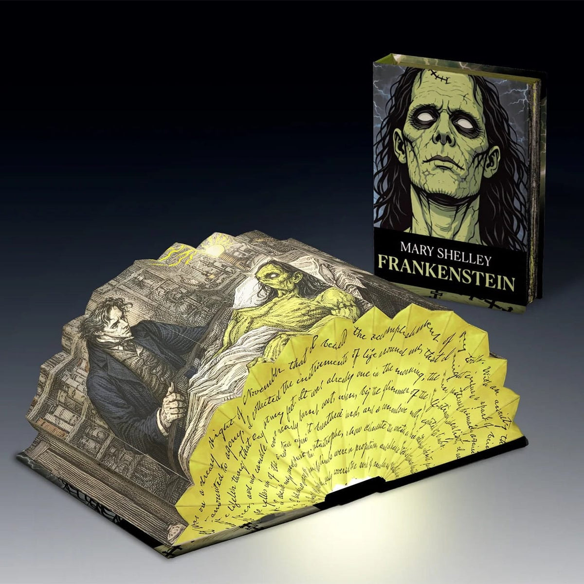 Frankenstein Light Book BookGeek