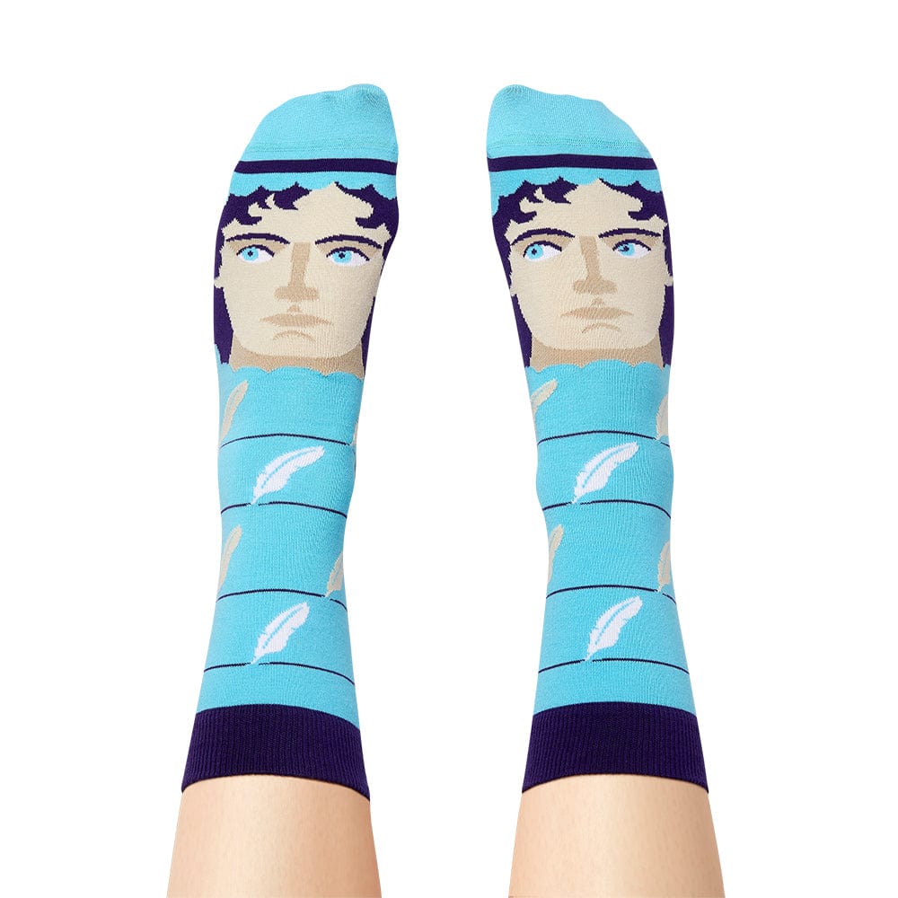 Jane Austoe Socks BookGeek