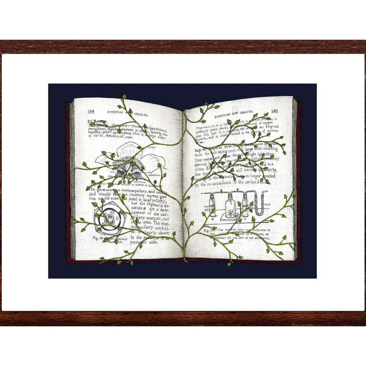 Overgrown Stories Art Print BookGeek