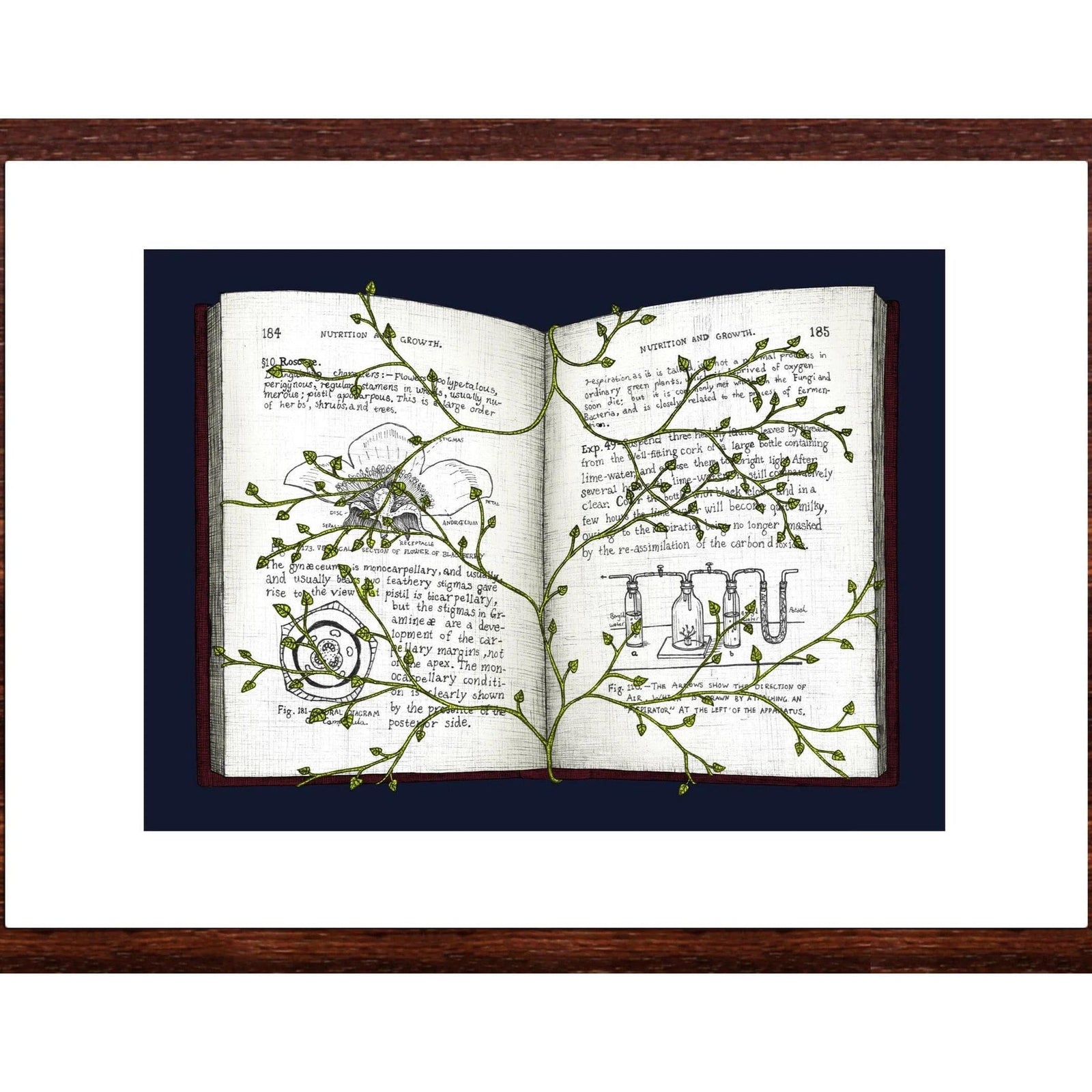 Overgrown Stories Art Print BookGeek