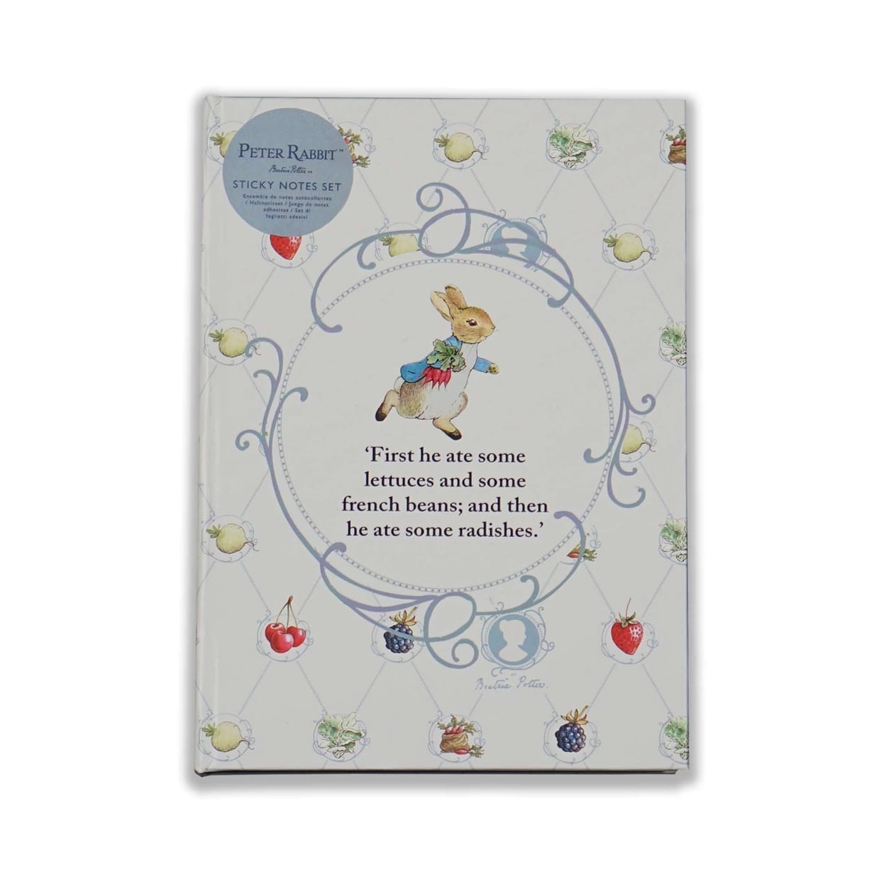 Peter Rabbit A6 Sticky Notes BookGeek