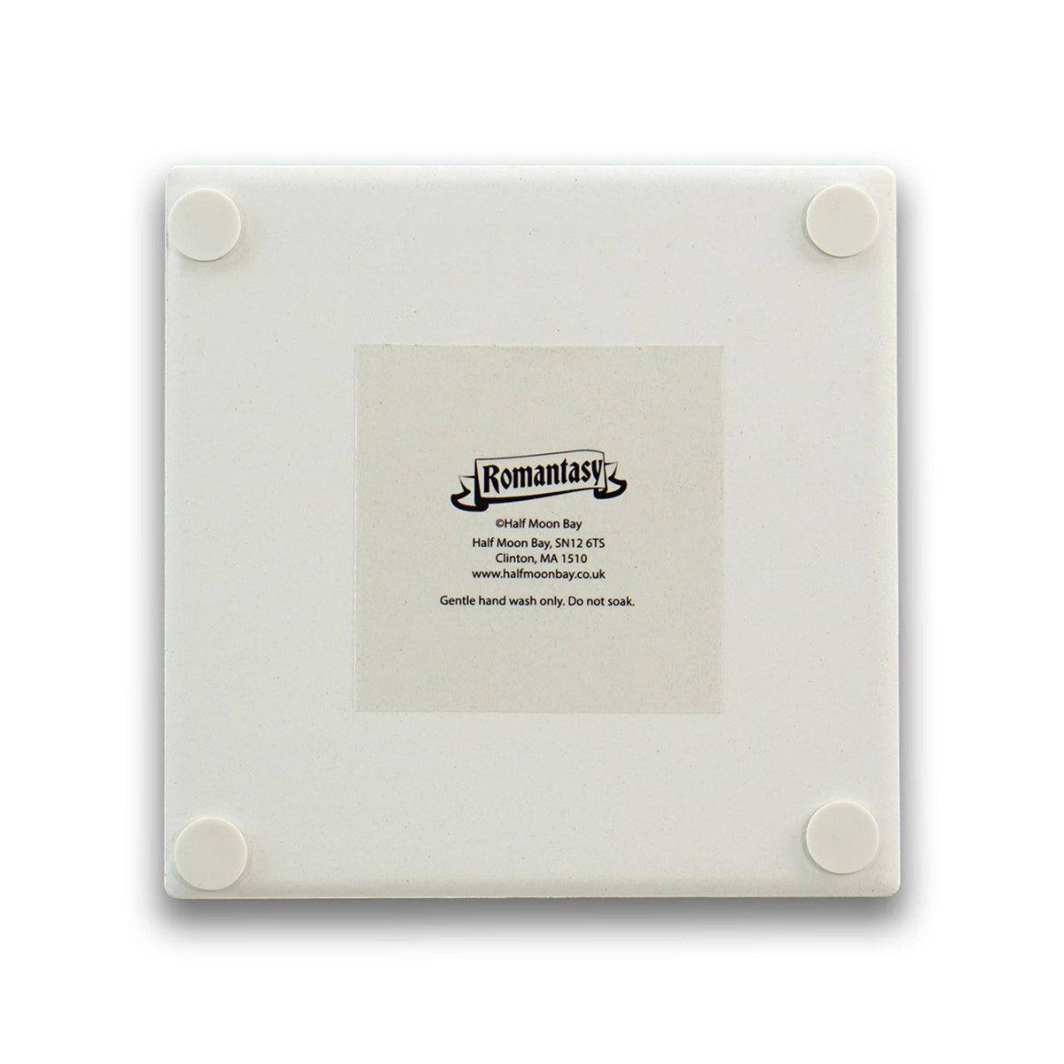 Romantasy Coaster BookGeek