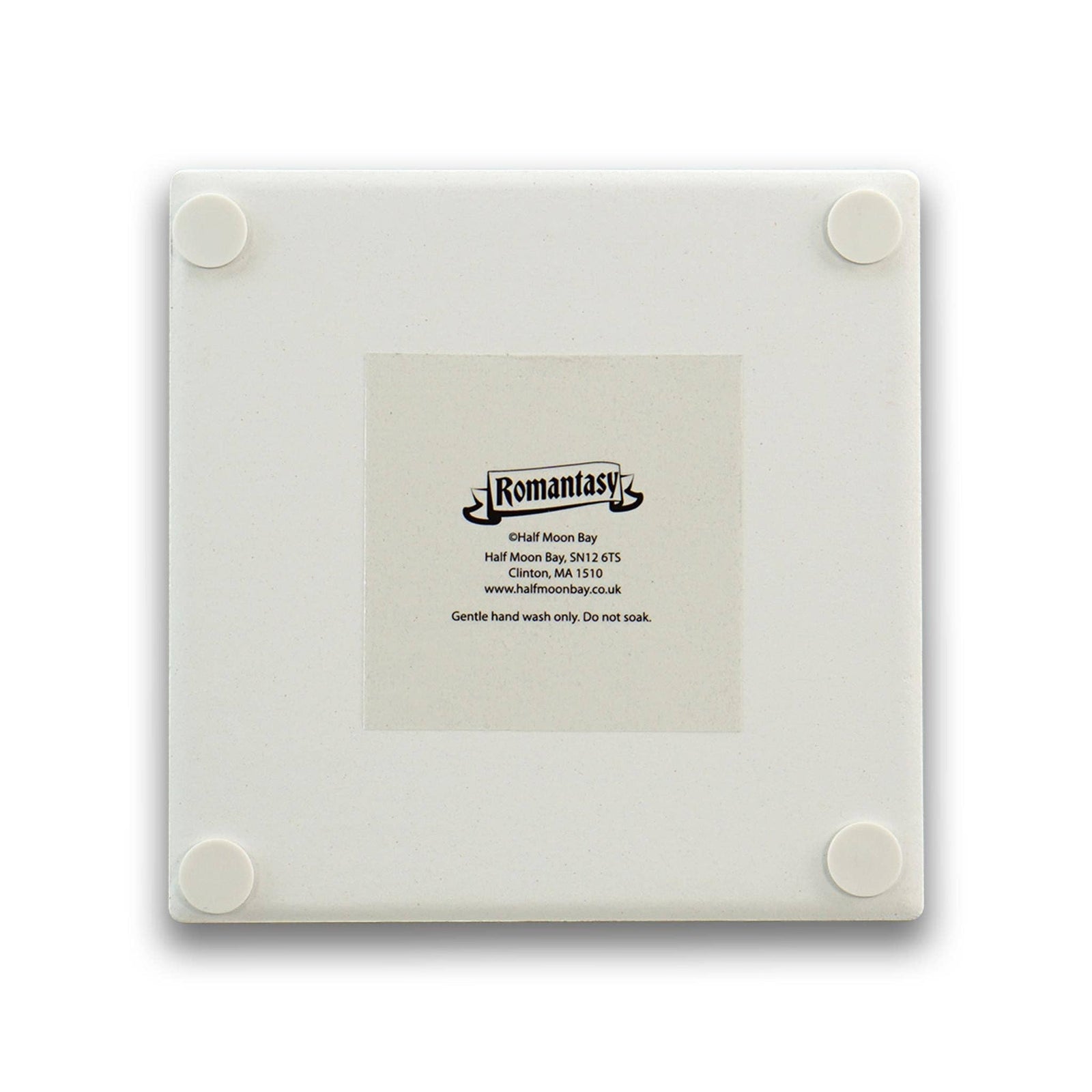 Romantasy Coaster BookGeek