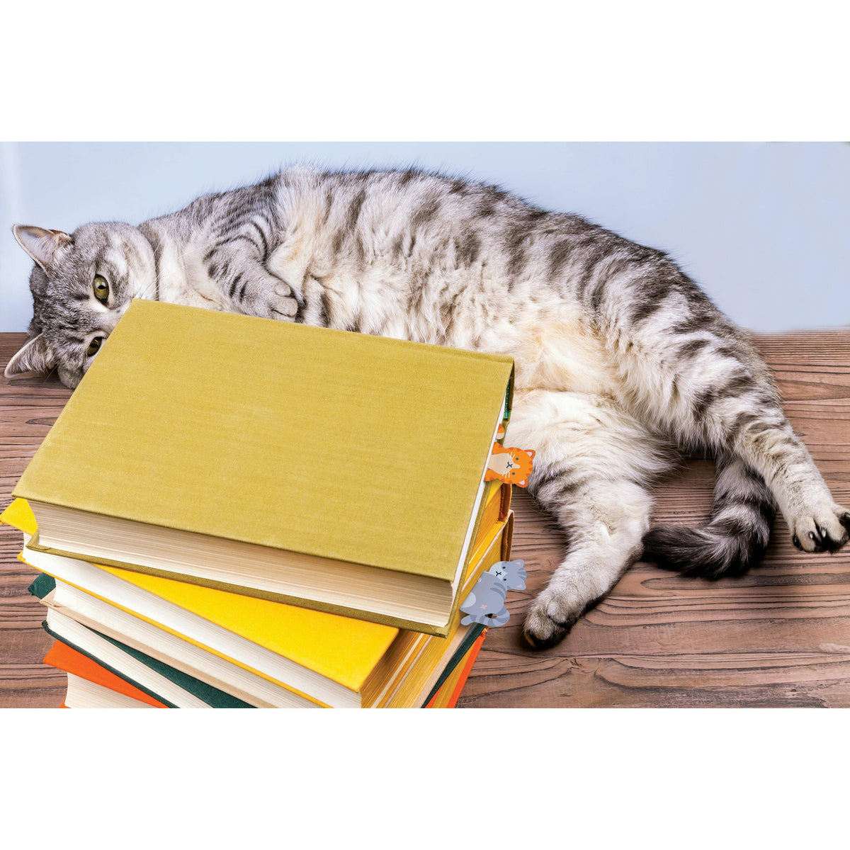 Tale End Cat Bookmarks BookGeek