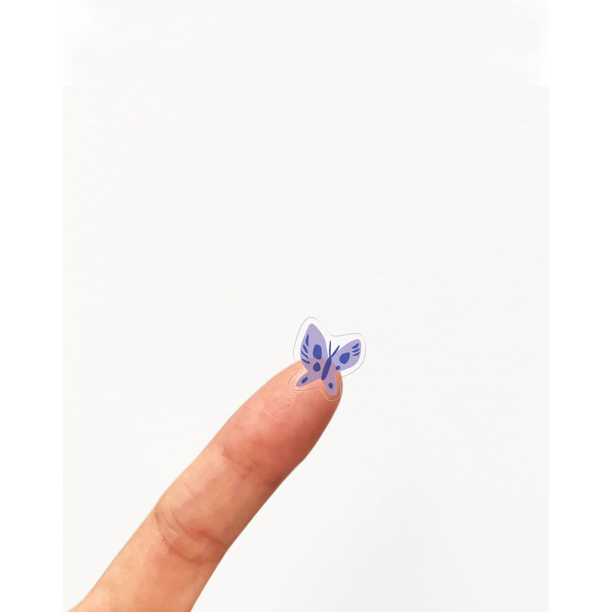 The Secret Garden Storybook Stickers BookGeek