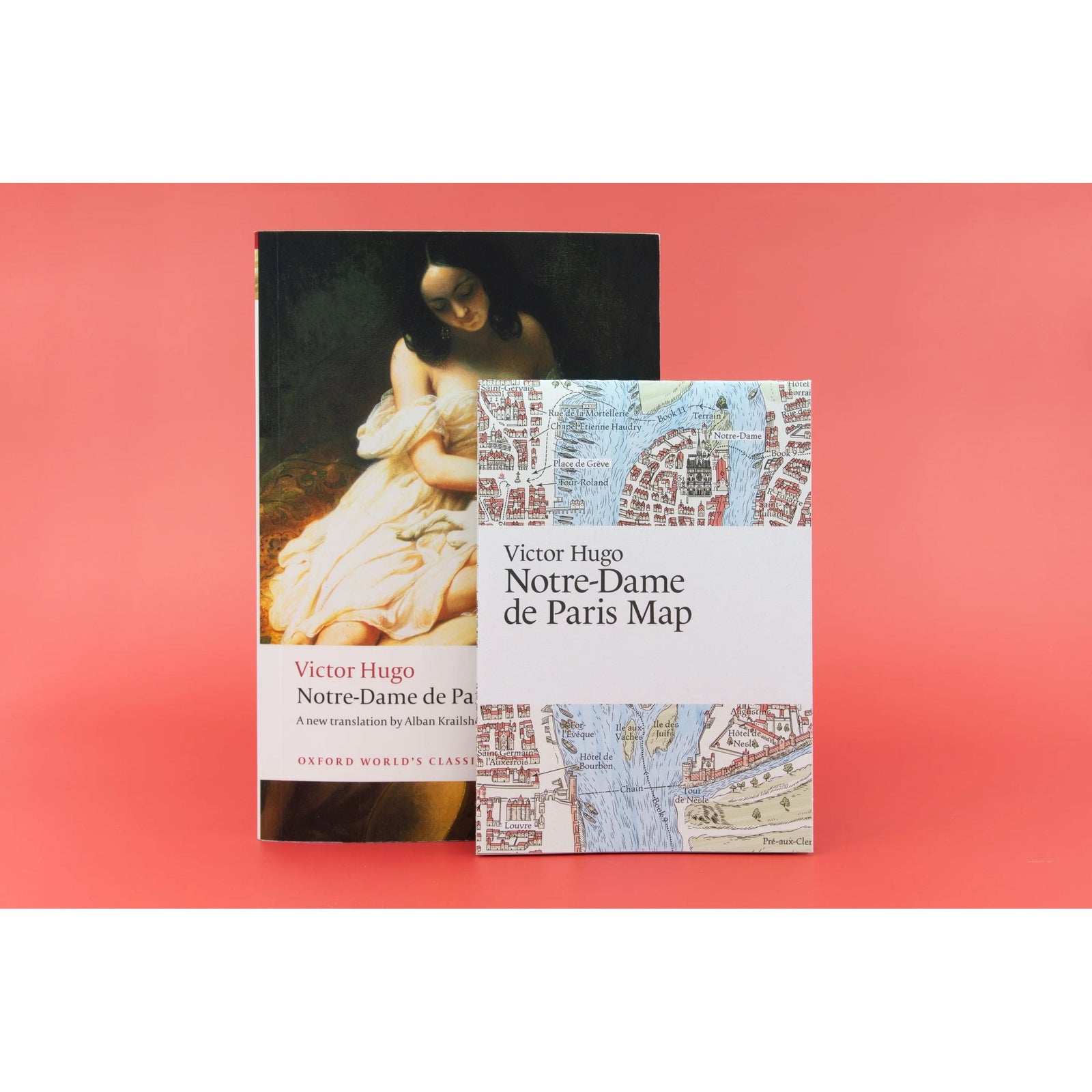 Victor Hugo: Notre-Dame de Paris Map BookGeek