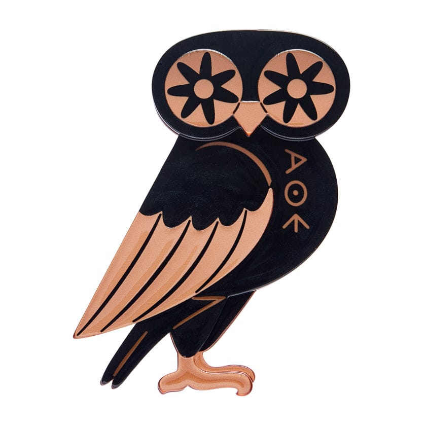 Wisdom Keeper Brooch BookGeek