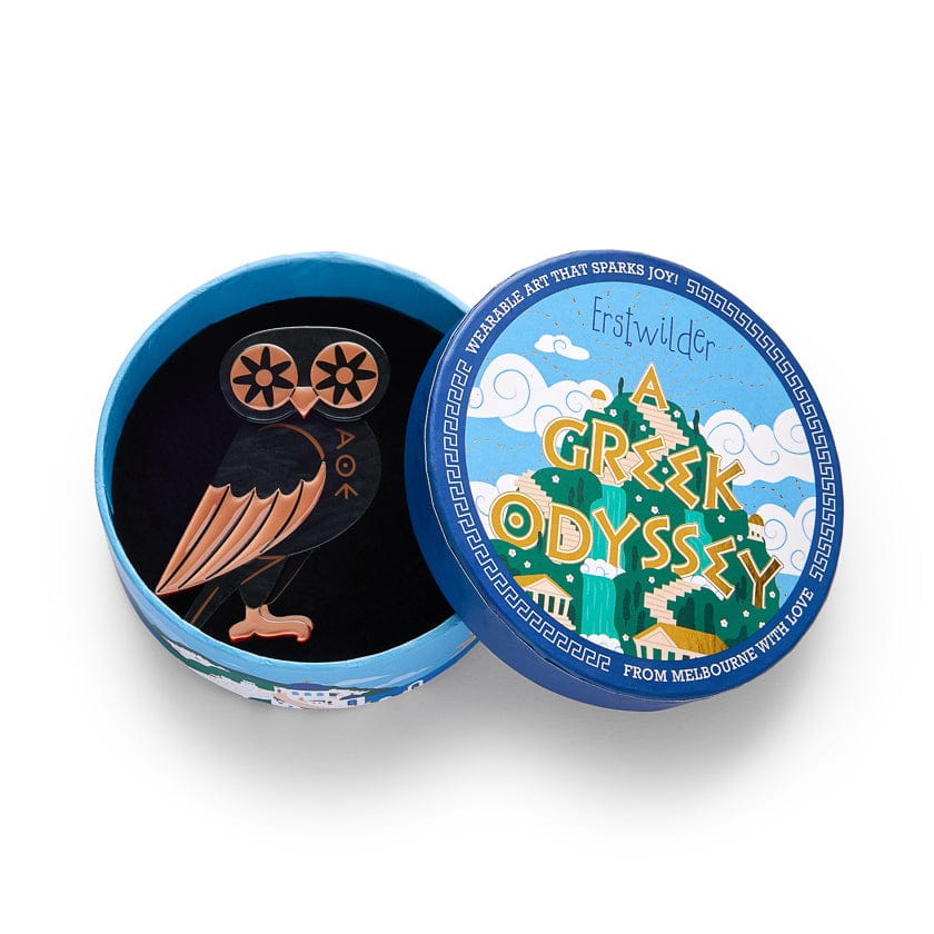 Wisdom Keeper Brooch BookGeek