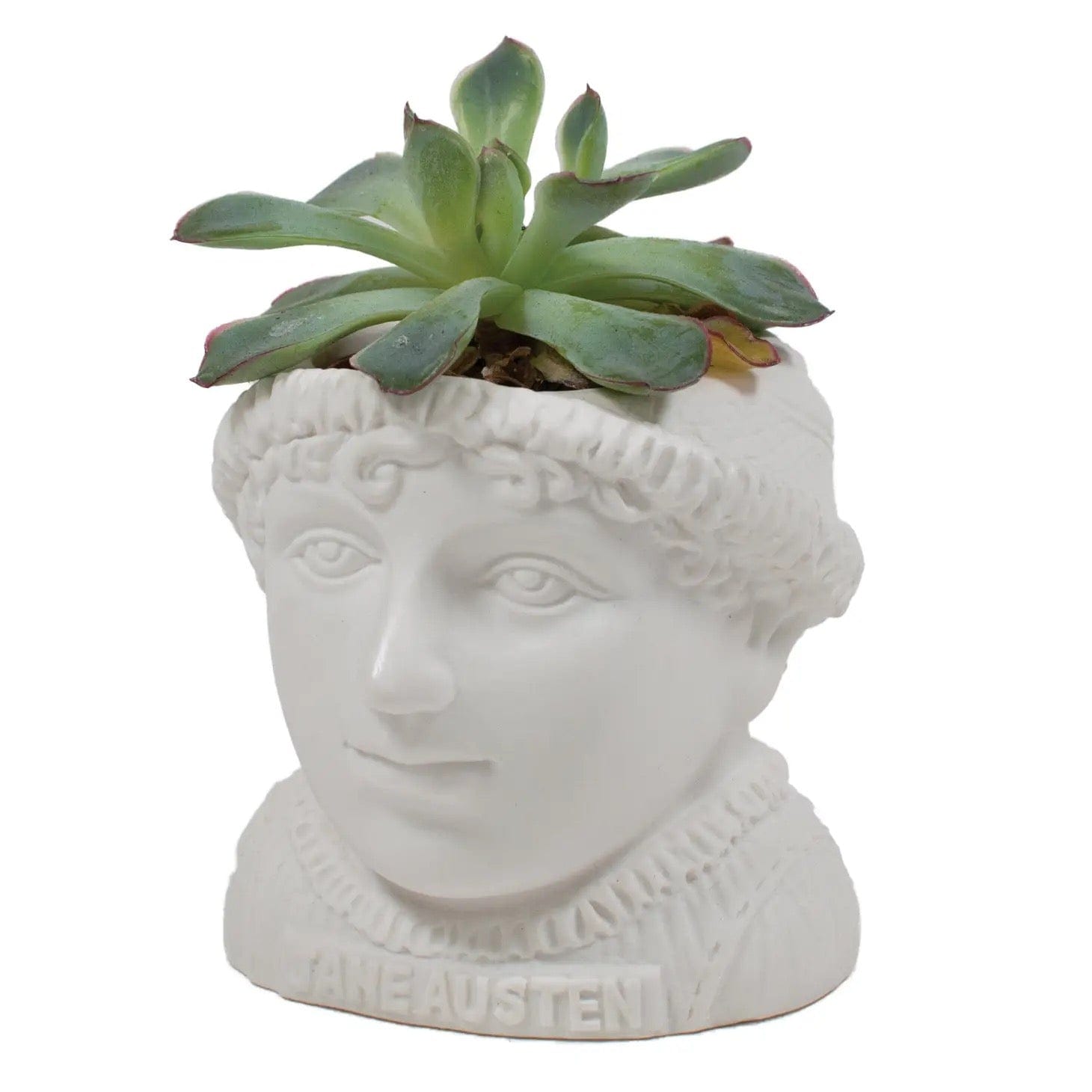Jane Austen Plant Pot BookGeek