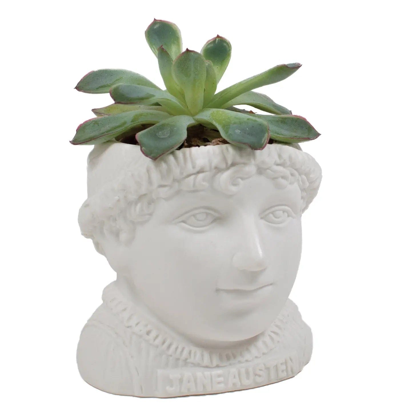 Jane Austen Plant Pot BookGeek