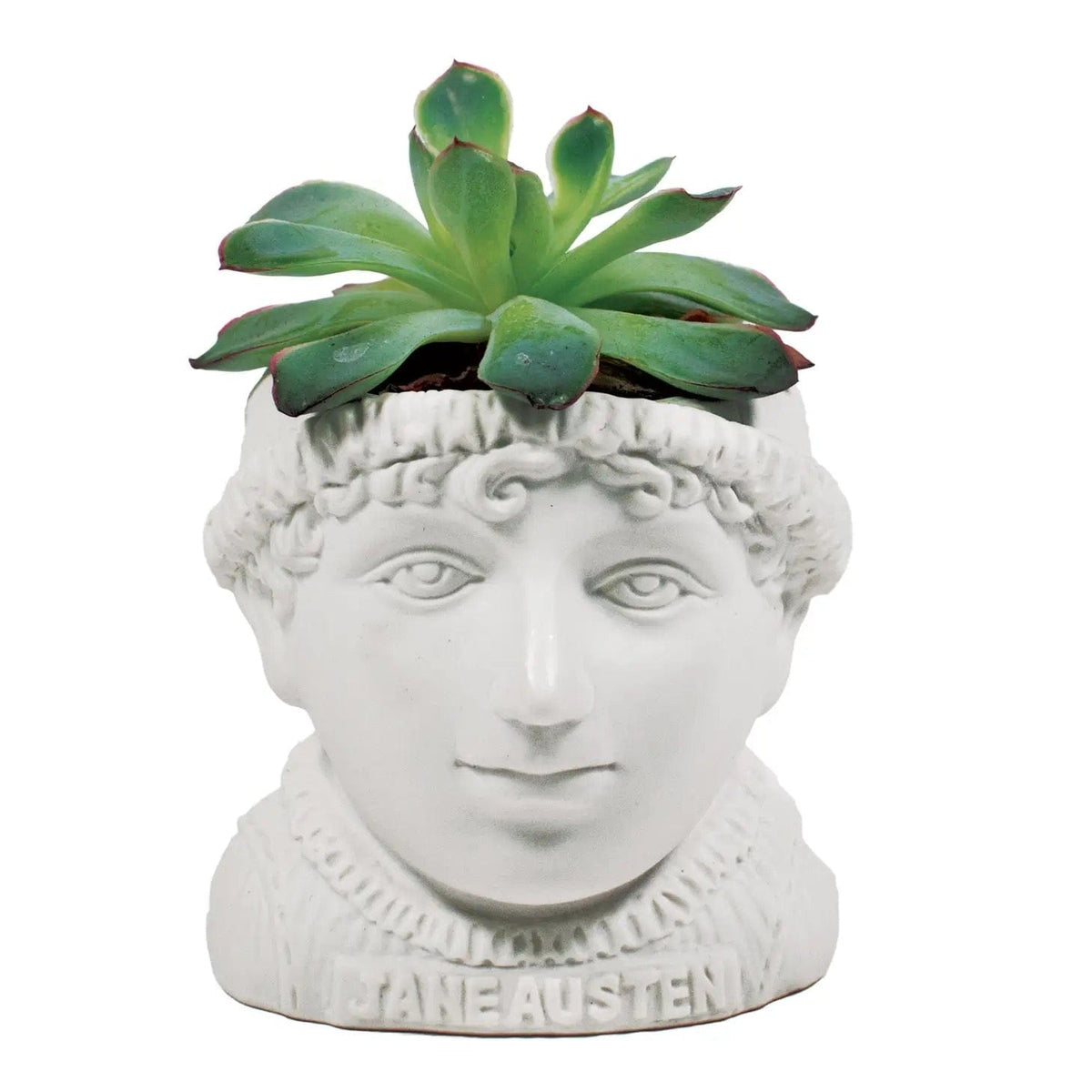 Jane Austen Plant Pot BookGeek