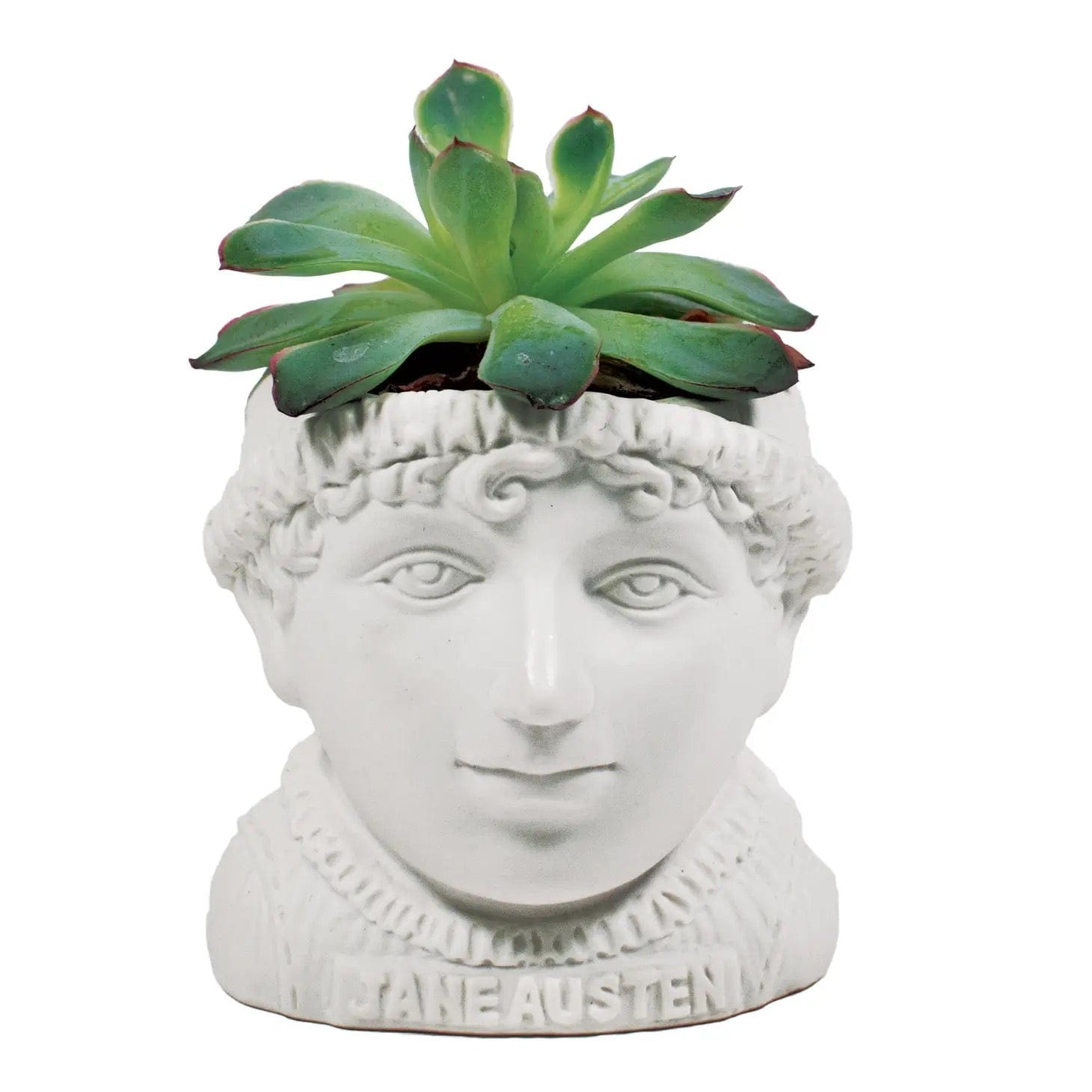 Jane Austen Plant Pot BookGeek