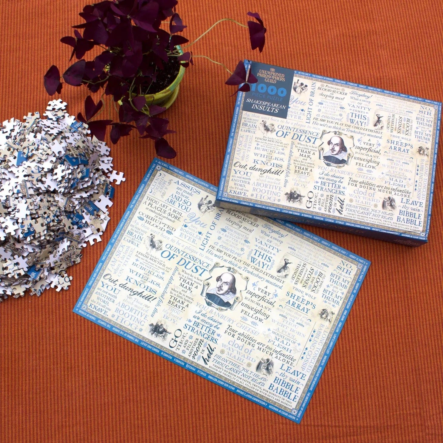 Shakespearean Insults Puzzle BookGeek