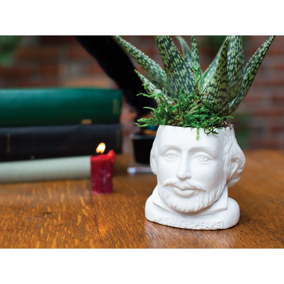 William Shakespeare Planter BookGeek